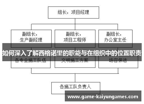 如何深入了解西格诺里的职能与在组织中的位置职责