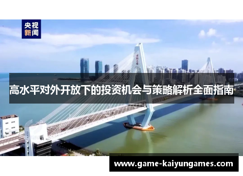 高水平对外开放下的投资机会与策略解析全面指南